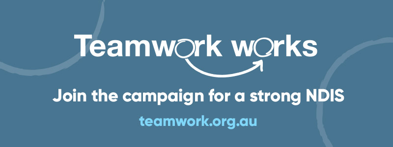 EDM banner with text: Join the campaign for a strong NDIS. teamwork.org.au